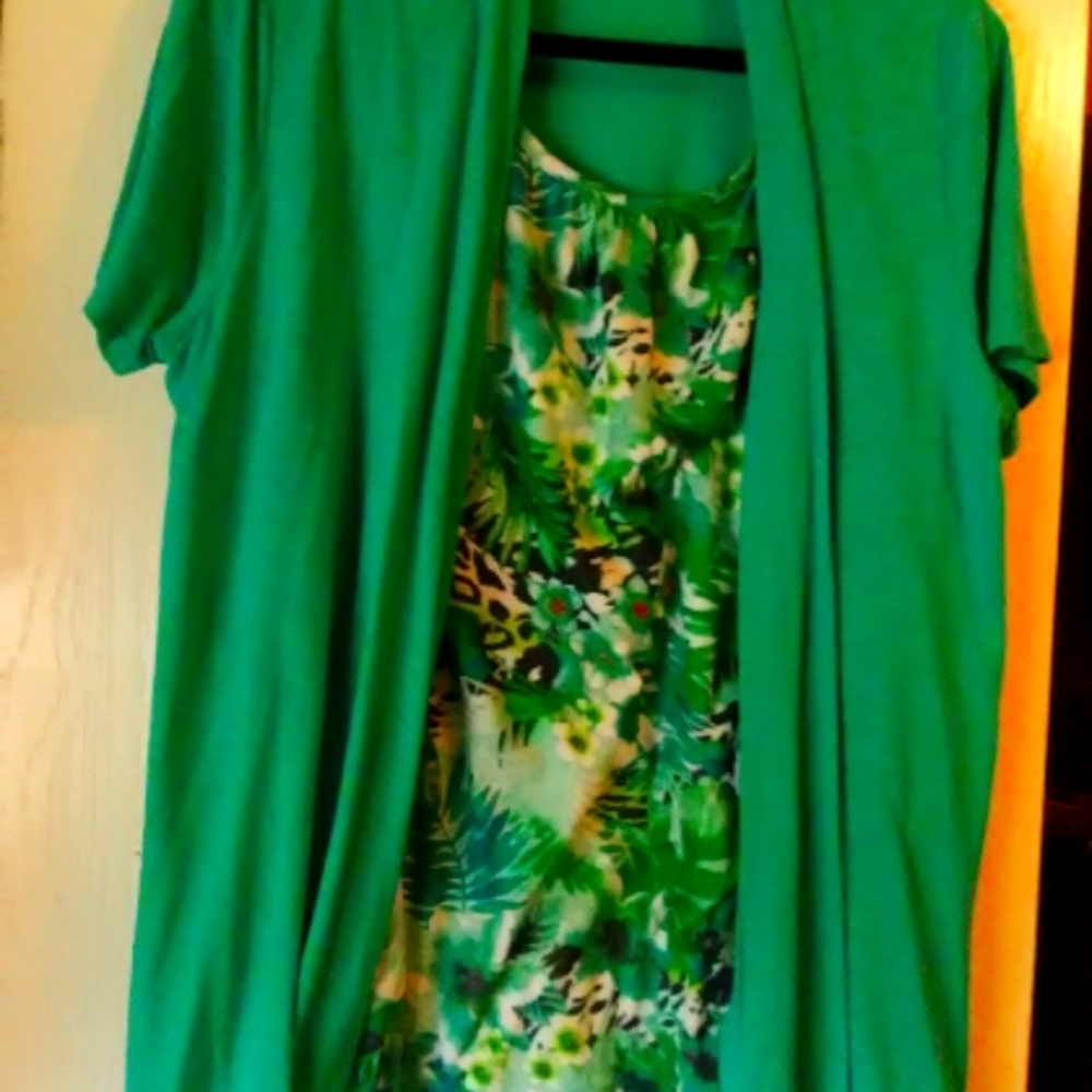 Women's blouse